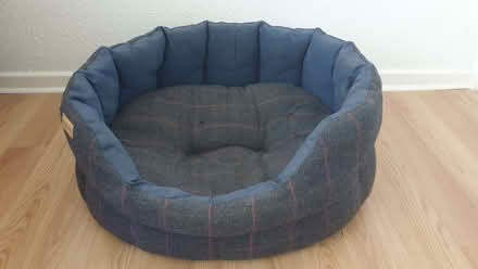Photo of free Dog's bed (Neithrop OX16) #1