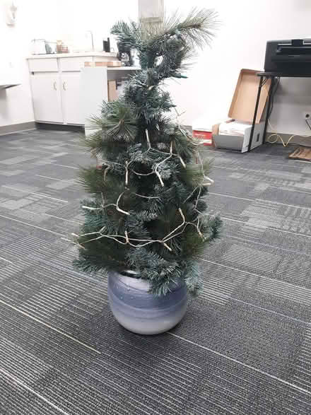 Photo of free Christmas tree with lights ((south) Central Park - Denver) #1