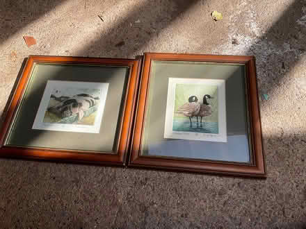 Photo of free Two signed animal prints (Minehead) #1