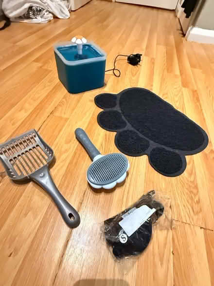 Photo of free Cat’s miscellaneous (Notting Hill / Ladbroke Grove) #2