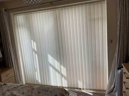 Photo of free Vertical blinds (Rose Green PO21) #2