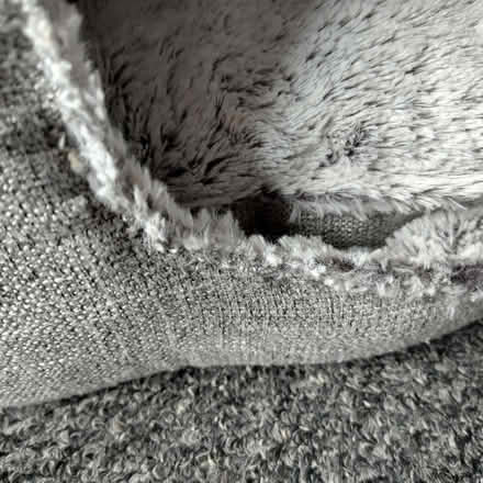 Photo of free Cat Igloo (New Town CO1) #2