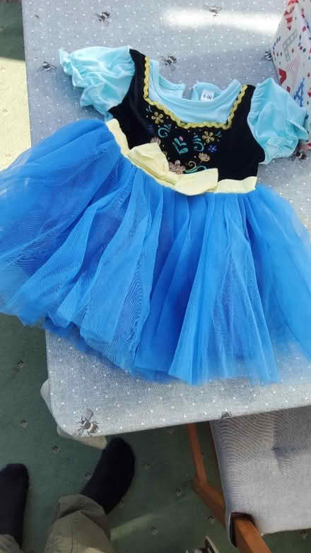 Photo of free Anna dress newcfor 6=9 months (Leominster) #1