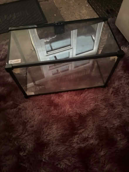 Photo of free Reptile Tank (DA11) #3