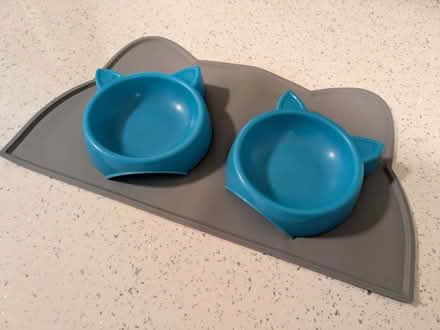 Photo of free Cat bowls and mat (Buckhurst Hill IG9) #1