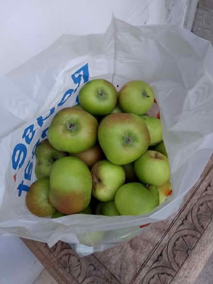 Photo of free Bramley Cooking Apples (St Anne's on the Sea FY8) #1