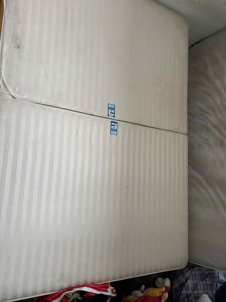Photo of free Double bed base (BN2 Brighton) #2