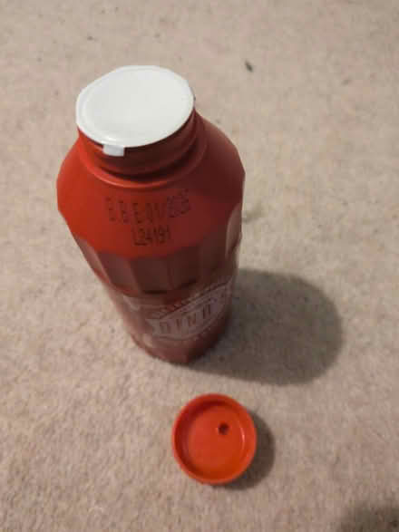 Photo of free Dino's Spicy Ketchup (RG4) #2