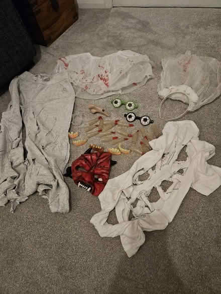 Photo of free Halloween bits (Frindsbury Extra ME2) #1