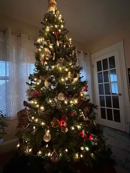 Photo of free 7' Tall Christmas Tree (Newtonville) #2