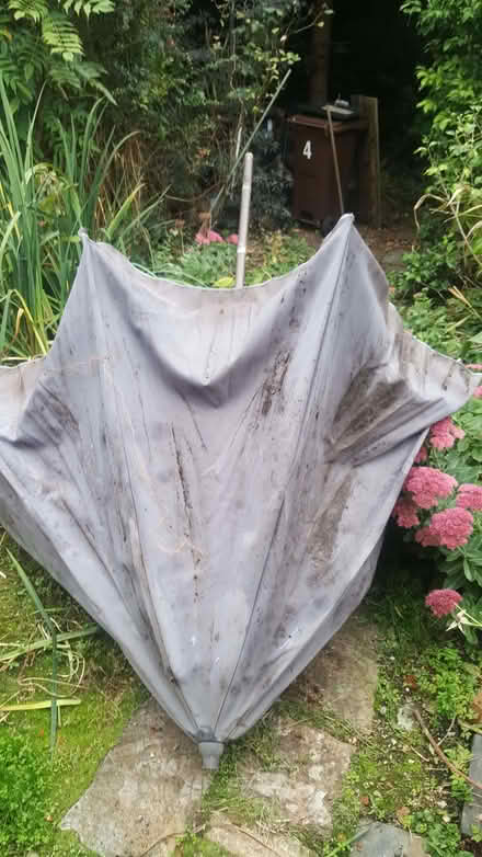Photo of free large parasol (New Greens AL3) #1