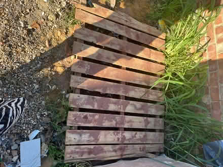 Photo of free Wooden pallets (Ashford) #3