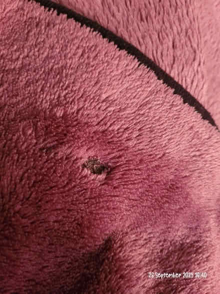 Photo of free Pinky/purple blanket/throw (Moseley B13) #4