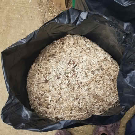 Photo of free Sawdust (St Albans AL1) #2
