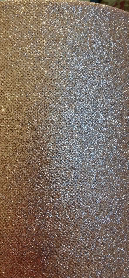 Photo of free Lamp shade (Homerton E9) #2