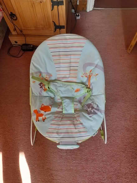 Photo of free Baby bouncer (Belper) #1