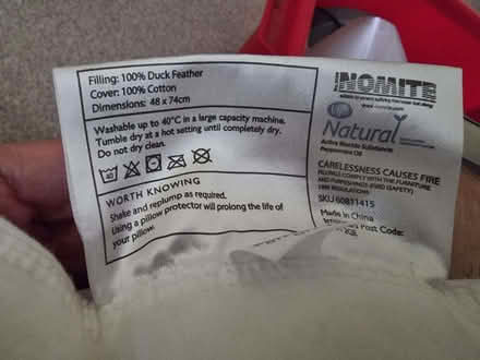 Photo of free Two duck feather pillows (Cliffe BN7) #1