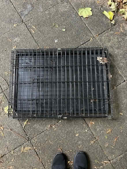 Photo of free Medium dog crate (Townsend AL3) #1