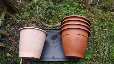 Photo of free large plant pots (New Greens AL3) #1
