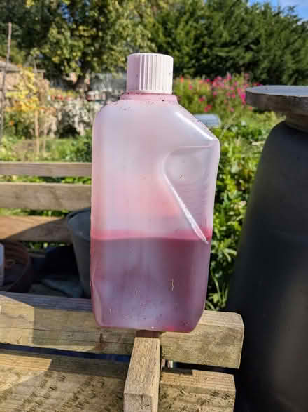 Photo of free Half full bottle of 2-stroke engine oil (France Lynch GL6) #1