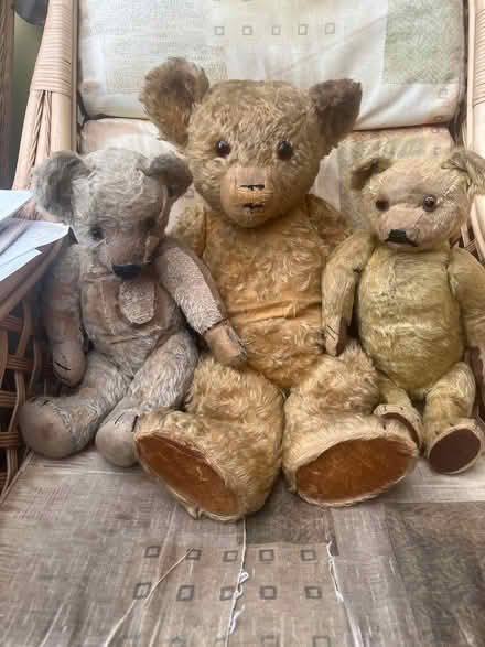 Photo of free Old teddy bears for restoration (Lancing BN15) #1