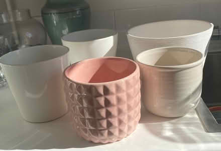 Photo of free House plant pots (Radlett WD7) #1