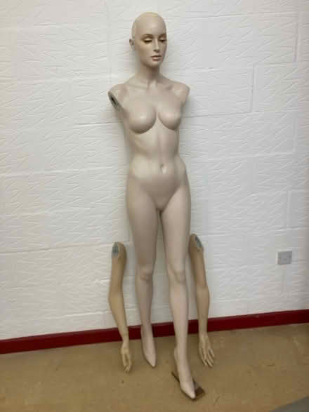 Photo of free Shop mannequin (Dorstone HR3) #1