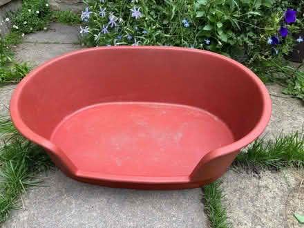 Photo of free Small plastic dog bed (Lower Weston) #1