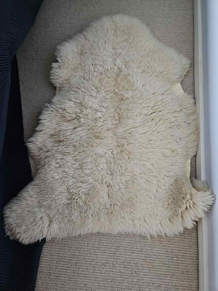 Photo of free Sheep skin rug (W5 close to Ealing Common) #1