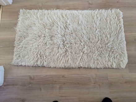 Photo of free Sheepskin rug (PO21 Nyetimber) #1