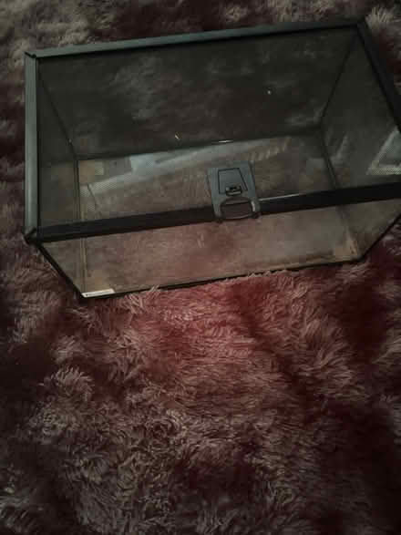 Photo of free Reptile Tank (DA11) #4