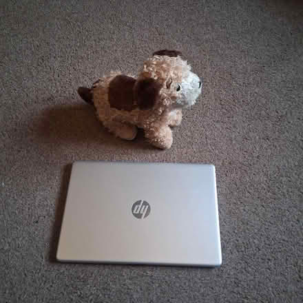 Photo of free Toy Dog. Barks and performs tricks? (Wickford SS12) #1