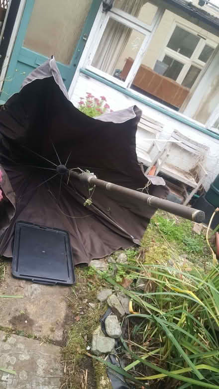 Photo of free large parasol (New Greens AL3) #2