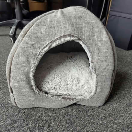 Photo of free Cat Igloo (New Town CO1) #1
