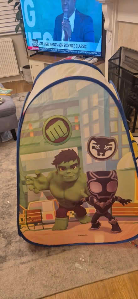 Photo of free Kids spiderman tent (Barkingside IG2) #2