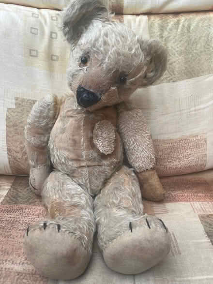 Photo of free Old teddy bears for restoration (Lancing BN15) #4