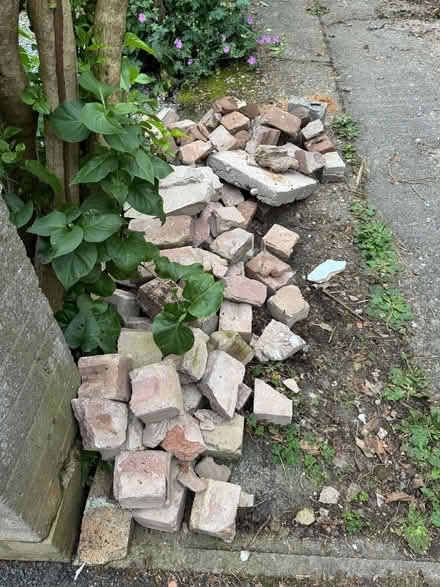 Photo of free More bricks - pile of full and separate pile of halves (Penrith CA11) #1