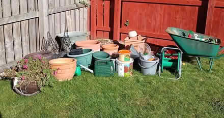 Photo of free Garden clearance items (Redcar TS10) #1