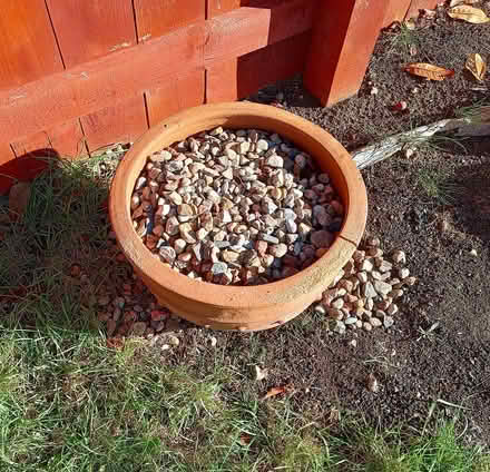 Photo of free Garden clearance items (Redcar TS10) #3