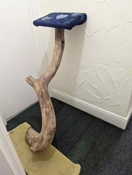 Photo of free Homemade cat tree (Crookesmoor S10) #3
