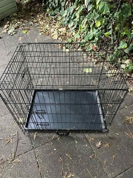 Photo of free Medium dog crate (Townsend AL3) #2