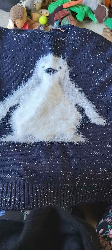 Photo of free Christmas woollen jumpers (Cam GL11) #2
