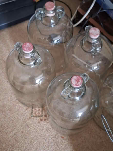 Photo of free Wine making jars (GL51) #1