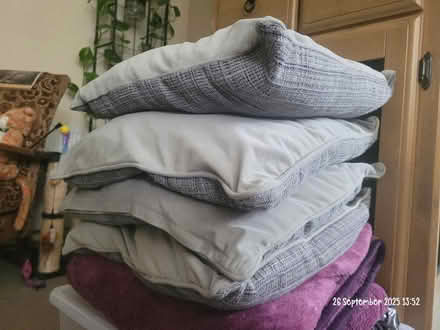 Photo of free 4 Grey cushions (Moseley B13) #1