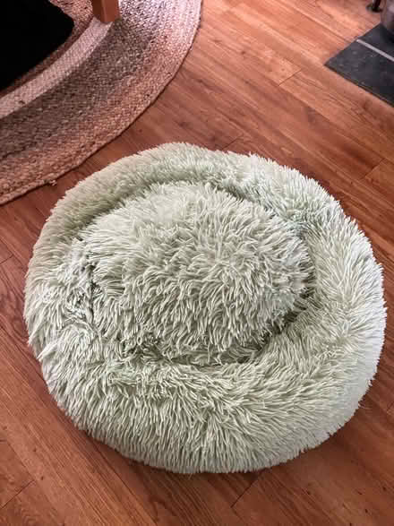 Photo of free Pet bed (Seaford BN25) #1