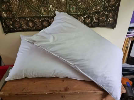Photo of free Two duck feather pillows (Cliffe BN7) #2