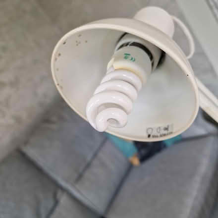 Photo of free Desk Lamp (Broadbridge Heath, RH12) #1