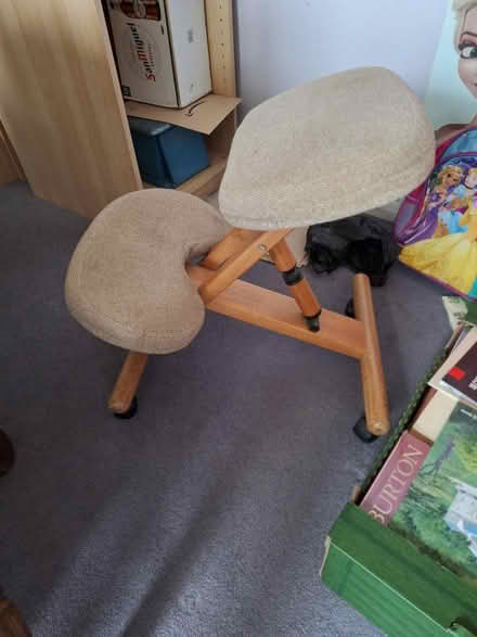 Photo of free Adjustable kneeling chair (South Green CM11) #1