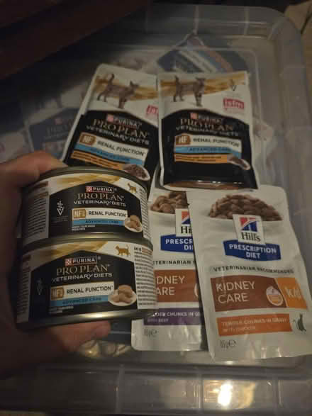 Photo of free Renal/Kidney cat food (Canvey Island, SS8) #1