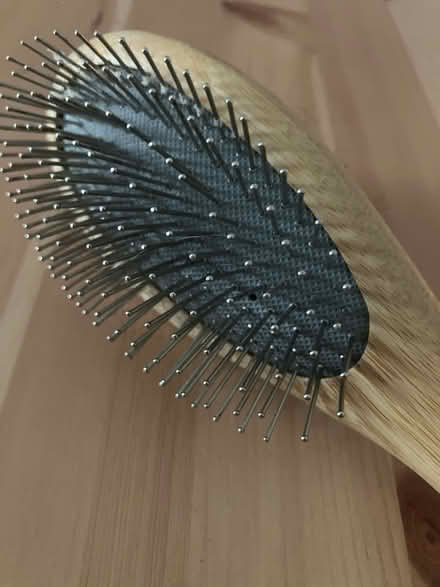 Photo of free Double sided dog brush (Okehampton) #2
